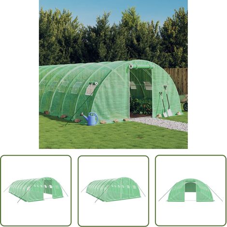 The Living Store Serre avec cadre en acier vert 32 m² 8x4x2 m - Serre De Jardin - Abri Jardin - Tunnel De Jardin - Serrez Verdure - Protection Plante (1/5)