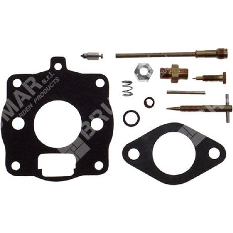 Kit Riparazione per carburatori BRIGGS & STRATTON 394989 COMPATIBILE - 000096