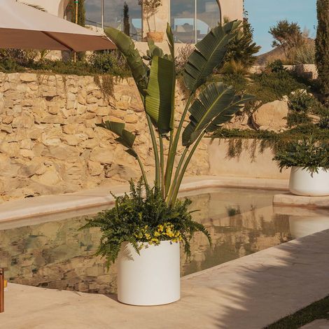 HORTENSIA 80 Macetero Grande y Redondo de Interior y Exterior Para Plantas y Flores Muy Resistente al Paso del Tiempo. Hecho de Polietileno en España - Blanco