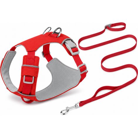Équipement de promenade pour chien rouge brique ensemble XS