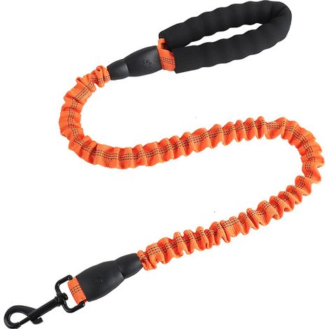 Laisse extensible réfléchissante pour chien, laisse élastique de dressage pour chiens, résistante et ajustable pour promenades et entraînement canin (1/5)
