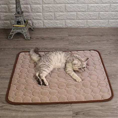 Tapis rafraîchissant en soie glacée pour chiens et chats - Coussin rafraîchissant pour niche - 62 x 50 cm - Marron (1/5)