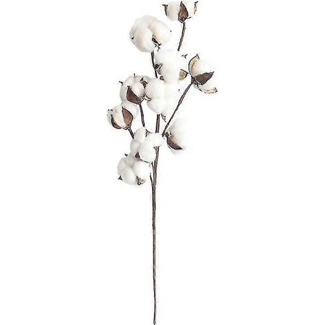 Lot de 3 tiges de coton séché de 10 têtes, fleurs artificielles de style champêtre pour décoration florale, fleurs simulées, décoration de mariage à faire soi-même (1/3)
