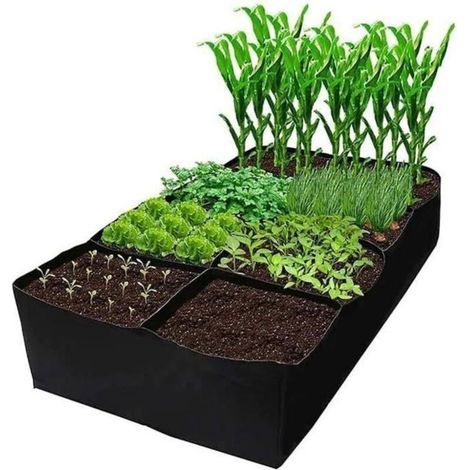 Grow Bags for Vegetables
Non-Woven Fabric Plant Bags
Rectangular Bag with 8 Compartments (1/5)