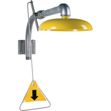MEDICLINICS 3813-3887 KRUSMAN Ducha de Emergencia Mural con Cabezal de Acero Inox - ref: 3813-3887 (1/2)
