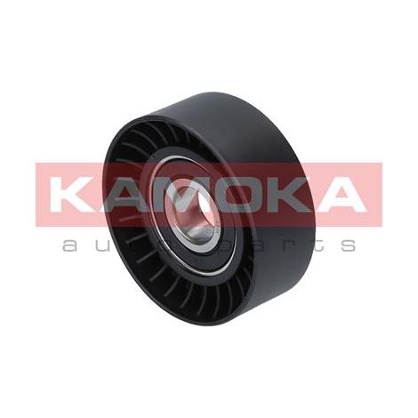 Tendicinghia trapezoidale R0068 kamoka (1/4)