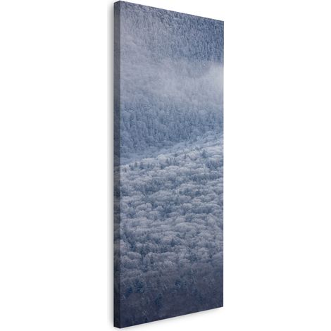 Leinwanddruck Natur Wald im Schnee 40x120 cm
