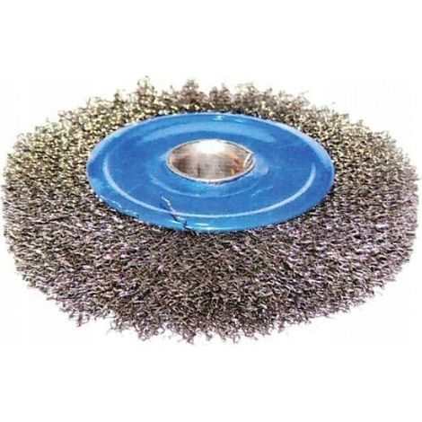Brosse à disque métallique de 200 mm, alésage de 32 mm (1/2)