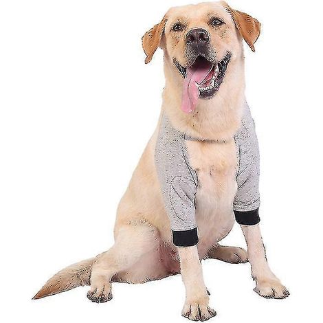 Soportes para patas delanteras de perro, protectores de codo para perros, correas de soporte para talones que protegen contra lesiones y esguinces. (1/5)