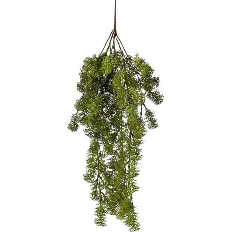 Conti Cadente Muschio 63 Cm Green