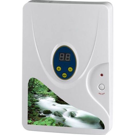 Générateur D Ozone - 600 Mg H - Pour Stérilisation Eau Aliments Air - Usage Domestique Et Hydroponie - 1 Pièce (1/5)