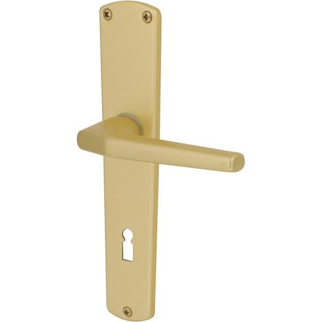 Alpertec Drückergarnitur Phil eloxiert BB 72 mm Schildgröße 220x43mm Türdrücker