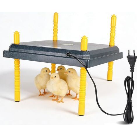 Plaque Chauffante pour Poussins 22 W, Panneau Chauffant Poussin 31 x 31 cm, Chick Heating Plate Hauteur Réglable (1/5)