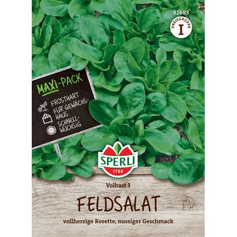Sperli Feldsalat Volhart 3 - MAXI-PACK 20 g - Gemüsesamen (1/2)