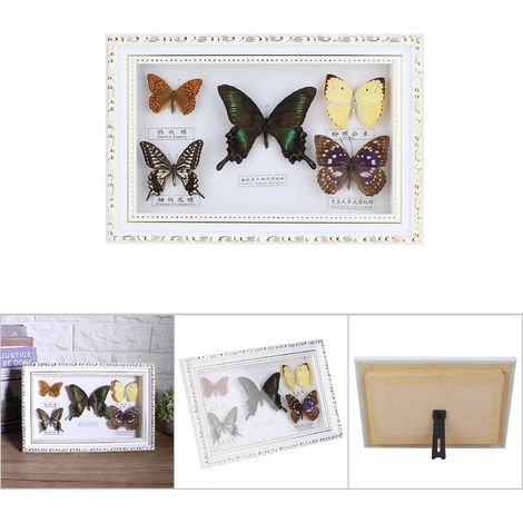 Prächtiger ausgestopfter Schmetterling im weißen Rahmen – Einzigartige Dekoration für Zuhause, Geburtstagsgeschenk, Insektenkunst (1/5)