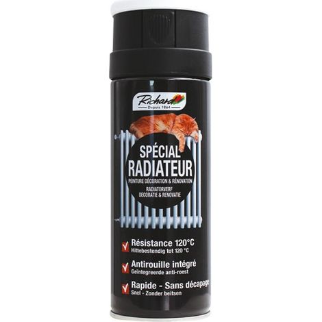 Aérosol Radiateur Blanc Satin Peinture Haute Résistance Pour Radiateurs - Richard Colorants