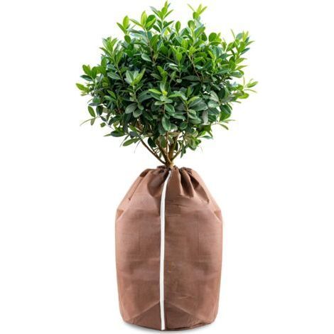 Housses d’hivernage pour Plantes en Pot, 40x40cm Housses hivernage, Housse Hivernage Plante, Housse d’Hivernage, Brun (1/5)