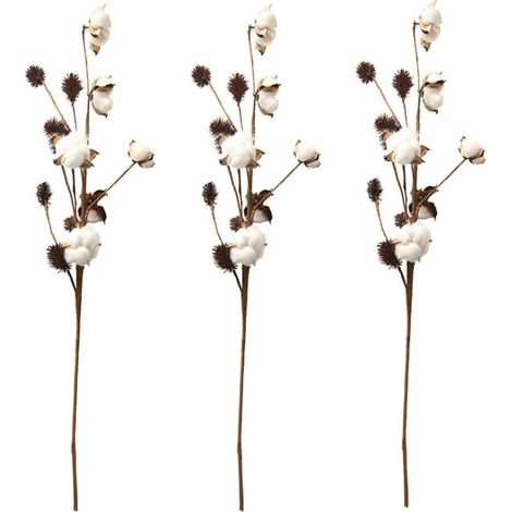 Tiges De Coton Artificielles - Décoration Florale Style Ferme - Remplissage De Vase Rustique - Lot De 3 Branches 68cm (1/5)