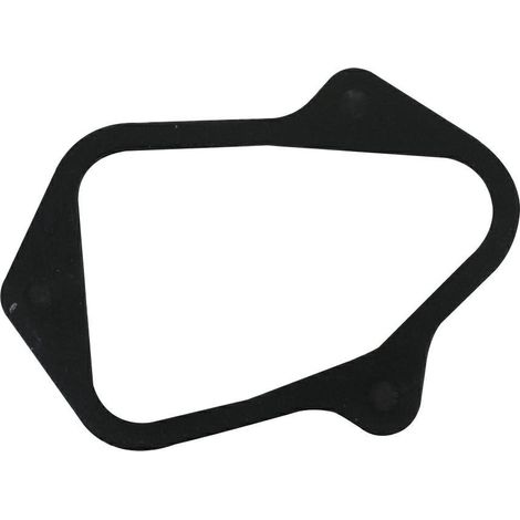 Guarnizione coperchio valvole rasaerba tosaerba BRIGGS & STRATTON 595341 591255
