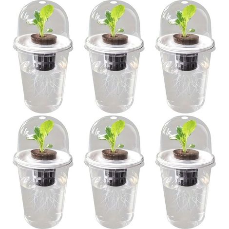 6 pièces Pots hydroponiques tasses de propagation transparentes pour le démarrage des graines Pots en plastique transparent à arrosage automatique pour plantes d'intérieur arrosage automatique transp (1/5)
