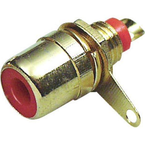 TRU COMPONENTS 1577826 Cinch-Steckverbinder Buchse, Einbau vertikal Polzahl: 2 Rot 1 St.