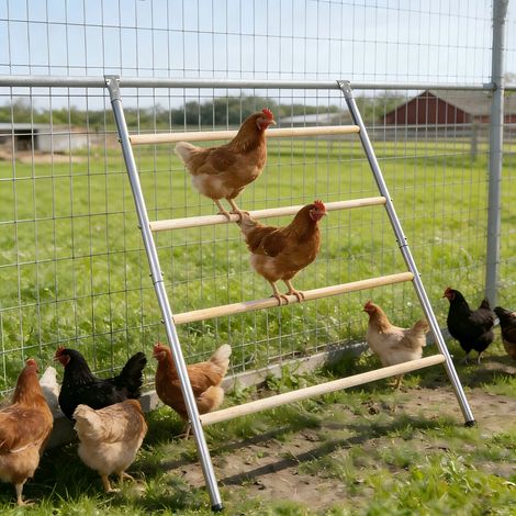 Aire de Jeux en Bois pour Poules, Échelle pour poules en bois, Adapté aux Poules, Coqs, Poussins et Grands Oiseaux comme Les Perroquets (1/5)