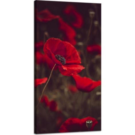 Impression sur toile Botanique Coquelicots rouges 40x80 cm