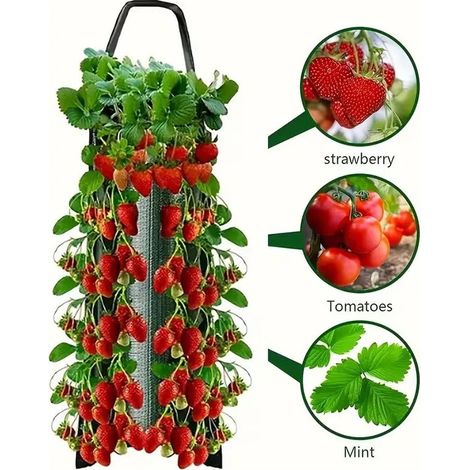 Sac de culture pour fraisiers suspendus, pot de fleurs, 1 unité (1/5)