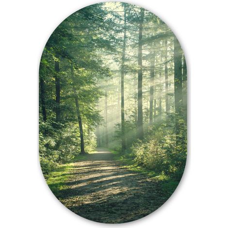 CERCHIO DA PARETE Foresta - Sentiero - Sole - Alberi - Verde - Natura 80x120 cm (1/3)