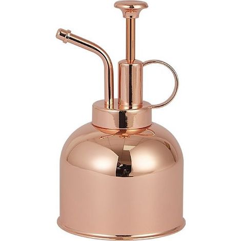 Flacon pulvérisateur en Acier Inoxydable pour Plantes-Petit arrosoir-Outils de Jardinage Modernes pour Plantes en Pot d'intérieur-Arrosage et pulvérisation (Or Rose, 0.25L) (1/5)