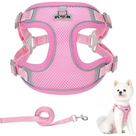 Filiyano-Ensemble harnais et laisse pour chien, harnais-gilet anti-traction ajustable, harnais-gilet réfléchissant anti-traction pour animaux de (1/5)