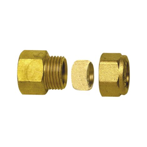 Raccord à bague droit F3/8 x tube 10mm (X 10) - DIFF