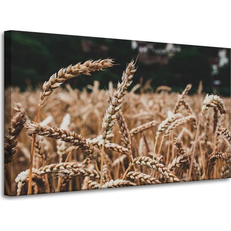 Stampa su tela Natura Campo di grano 100x60 cm Spighe di raccolto