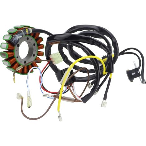 Stator coils 3089546 and 3089965 are suitable for Polaris Sportsman 400 and 500. (1/3)