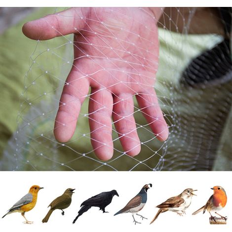 Filet anti-oiseaux blanc 4 x 10 m, maille de 2,5 cm, avec 10 attaches de câble, en nylon. Filet de protection pour plantes, en nylon, maille de 2,5 cm. (1/5)