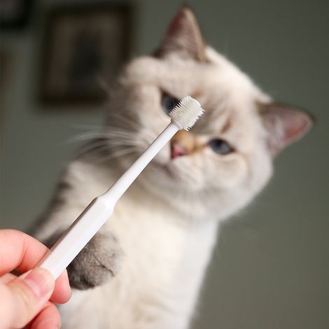 Spazzolino per cani e gatti - Pulizia orale a 360° - Migliora l'alito - Denti puliti - Confezione da 3