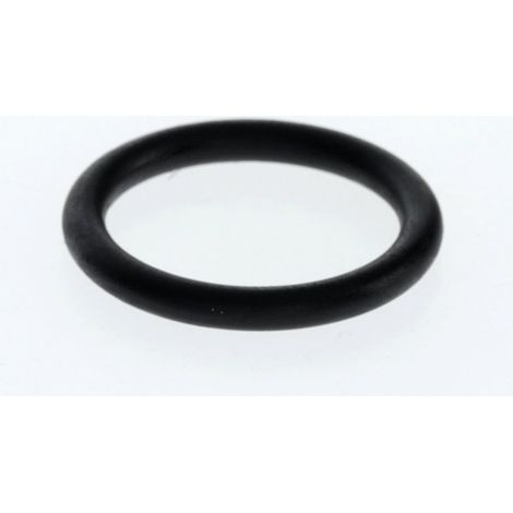 BOSCH O-Ring (10x), 87002051360