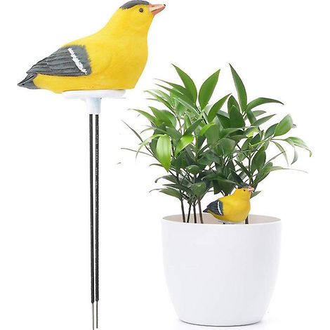Kit d'outils de jardinage comprenant un hygromètre, un testeur d'humidité du sol, un capteur d'humidité pour plantes et oiseaux, un détecteur d'humidité et une alarme d'arrosage. (1/5)