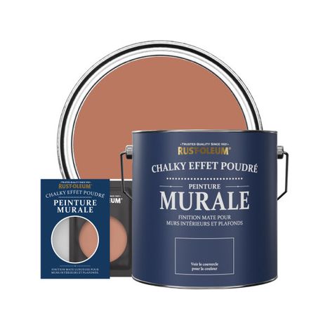Peinture Murs & Plafonds - Sienne (1/3)