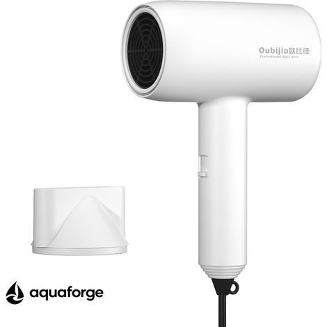 Sèche cheveux portable compact 1000 W protection thermique (1/5)