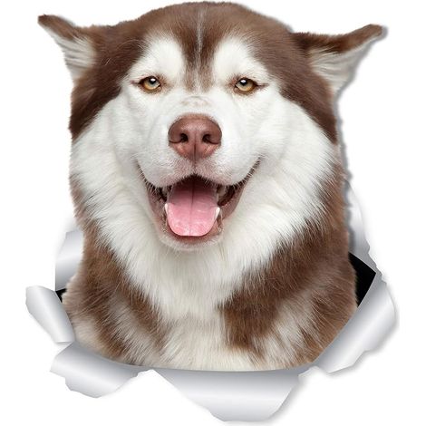 Paquete de 2 pegatinas de pared de husky siberiano: pegatinas 3D para paredes, coches, baños y más. Papel de regalo de husky (10 x 12 cm). (1/3)
