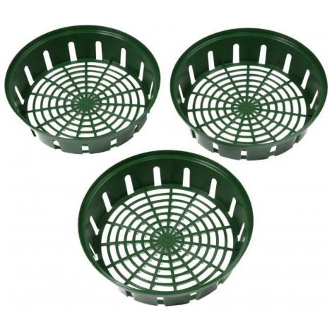 Lot de 3 bols ronds pour bulbes à fleurs (1/2)