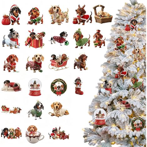 Calendrier de l'Avent en acrylique 2D pour chiens de 24 jours, pour maison, fenêtre, mur, fête, célébration hiver (1/5)