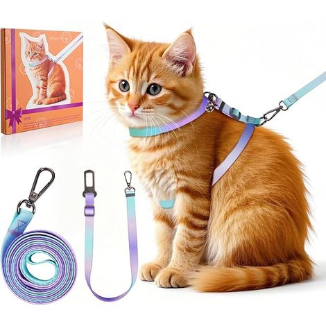Katzentransportbox-Set [4-in-1] - Ausbruchsicher und verstellbar - Leichte Katzentransportbox mit Autoleine - Geeignet für kleine, mittlere und große Katzen (S)