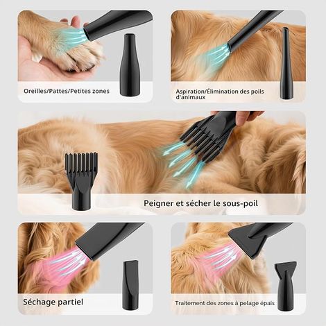 Blower 3200 W Dog Hair Dryer with Vacuum Cleaner, Adjustable Speed and Temperature, with 5 Different Nozzles, 1 Elastic Hose and Maintenance Brush (1/3)