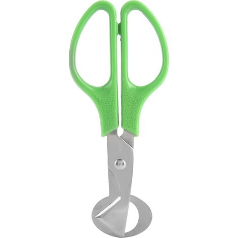 Ciseaux ouvre-œufs de caille portables antirouille, outil de cuisine pour couper les œufs