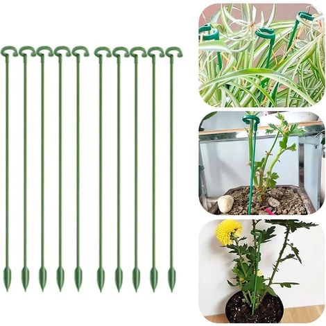 Tuteurs pour plantes en pot, lot de 10, 27 cm (1/5)