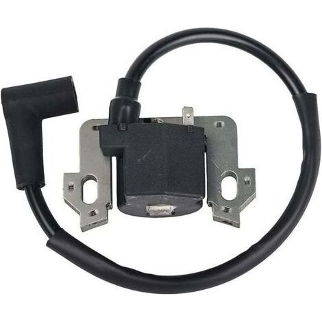 Remplace le module de bobine d'allumage Gcv135 Gcv160 Gcv190 Gsv160