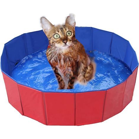 faltbarer Hunde-/Katzenpool, rutschfestes PVC, Ablassventil, für drinnen und draußen (1/5)