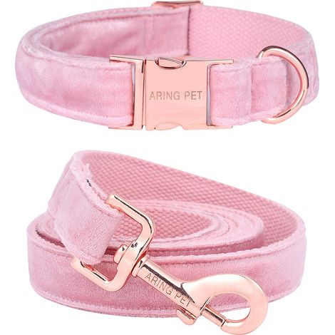 Collier et laisse pour chien, collier et laisse en velours, collier pour chien et laisse réglable pour chiens de petite taille moyenne. (1/5)